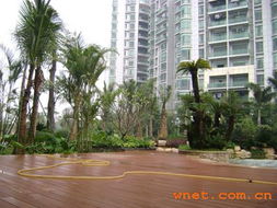 深圳市巴比倫環(huán)境園林藝術(shù) 園林景觀建設(shè)工程與產(chǎn)品展廳的工程管理實踐